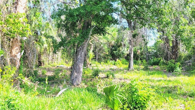 Needles Dr, Hudson, FL 34667