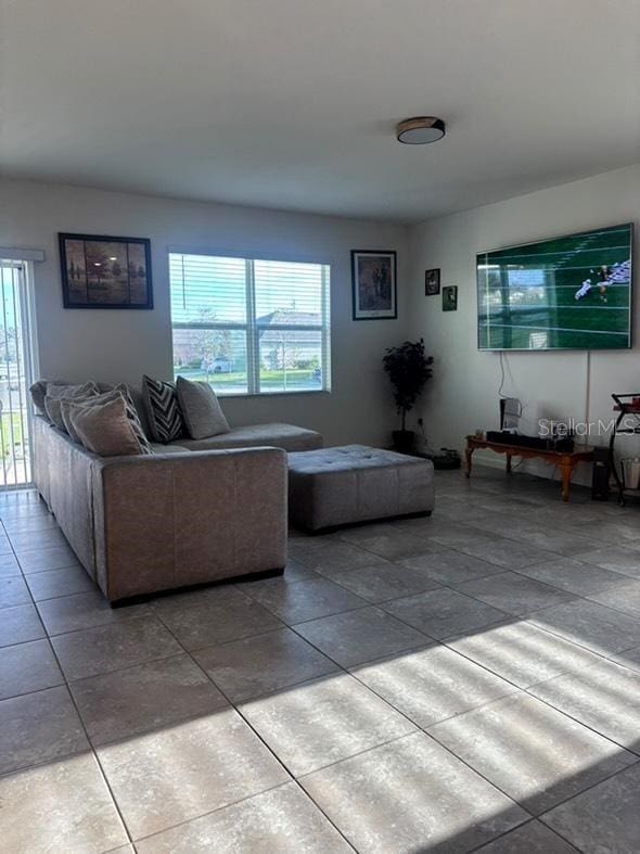 living room with a wealth of natural light