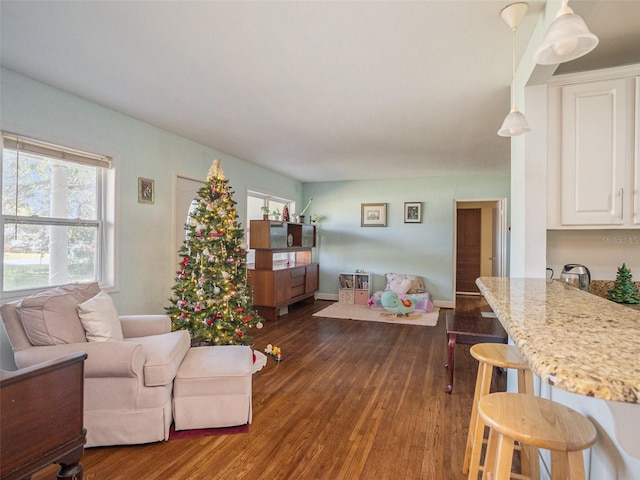 living room with dark hardwood / wood-style floors