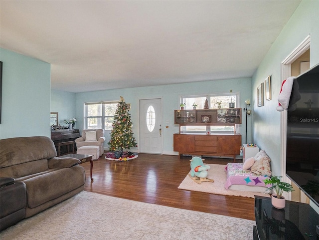 living room featuring hardwood / wood-style flooring