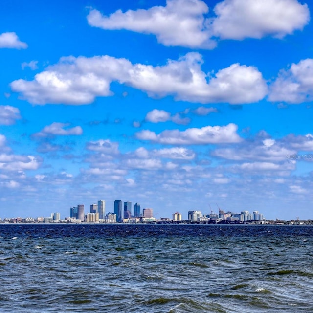 property view of water featuring a view of city