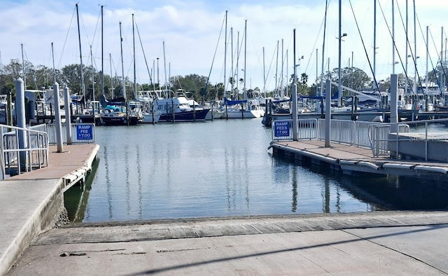 dock area with a water view