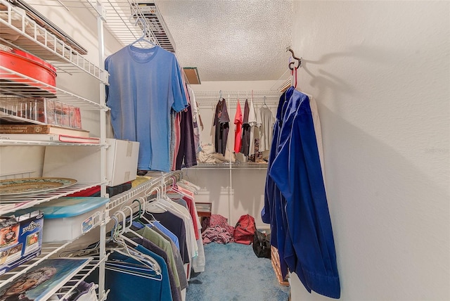 walk in closet featuring carpet