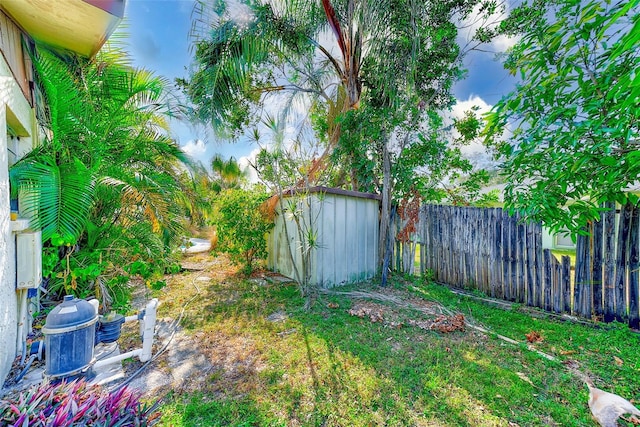 view of yard with a storage shed