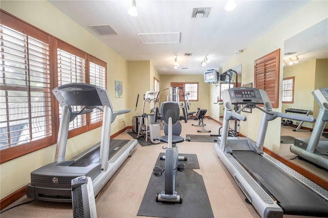 workout area with light carpet, track lighting, and plenty of natural light