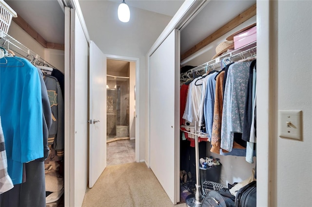 walk in closet with light carpet