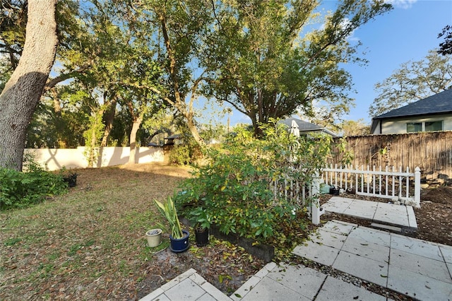 view of yard featuring a patio area