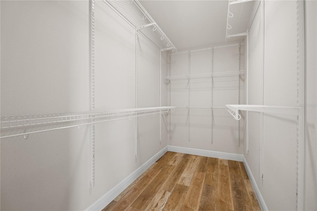 walk in closet featuring hardwood / wood-style floors