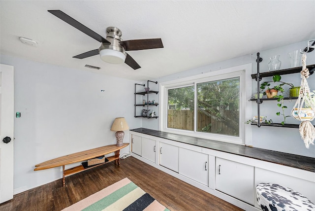 living area featuring dark hardwood / wood-style floors and ceiling fan