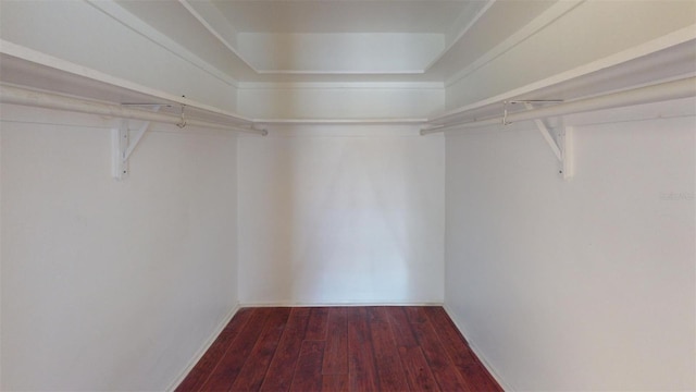 walk in closet featuring hardwood / wood-style flooring