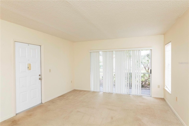 empty room featuring a wealth of natural light, a textured ceiling, and light carpet