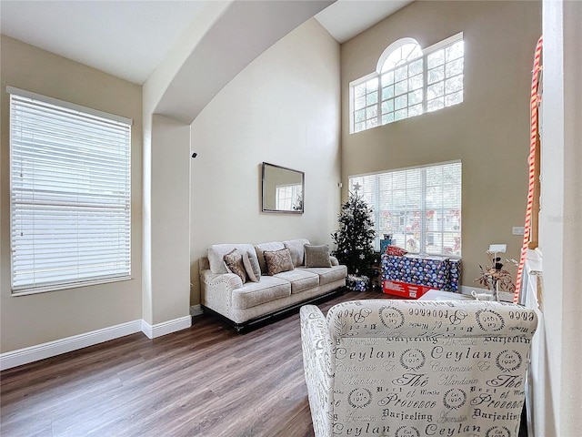 living room featuring hardwood / wood-style flooring