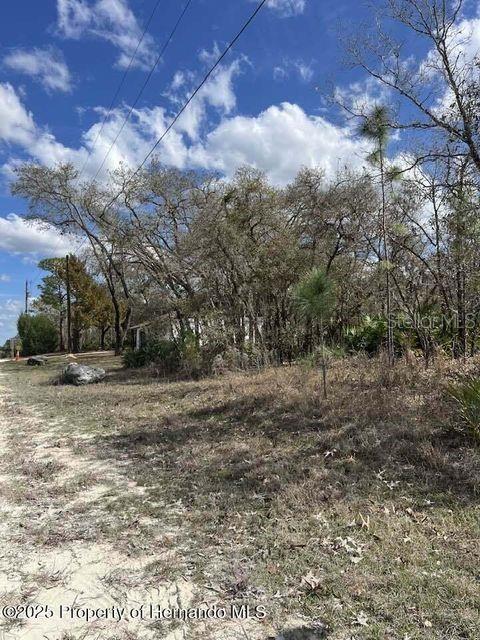 10180 Zebrafinch Ave, Weeki Wachee FL, 34614 land for sale