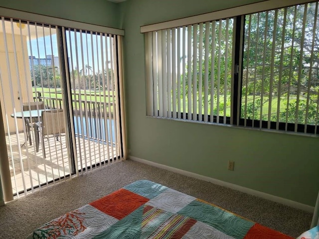 interior space featuring carpet flooring and multiple windows