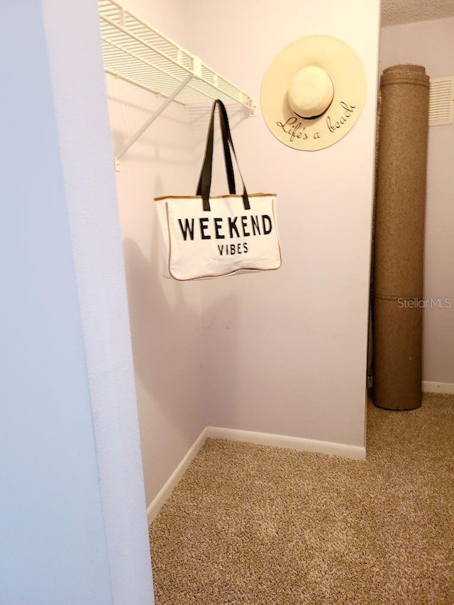 spacious closet featuring carpet flooring