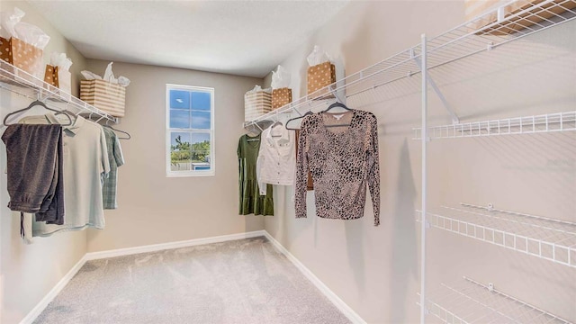 walk in closet with carpet floors