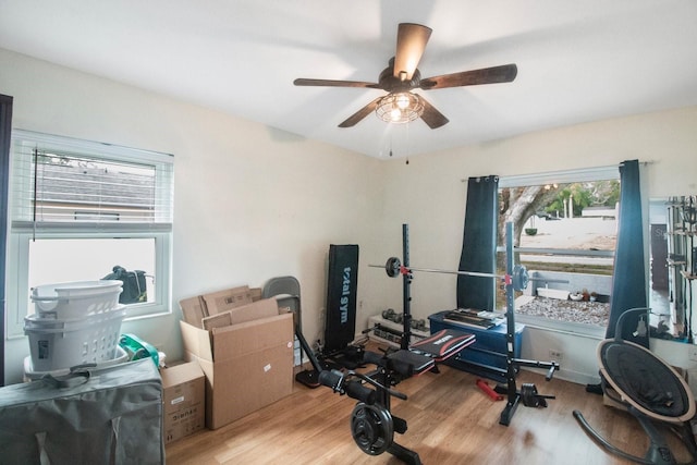 workout room featuring light hardwood / wood-style flooring and ceiling fan