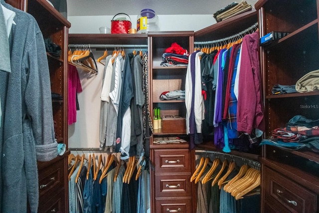 view of walk in closet