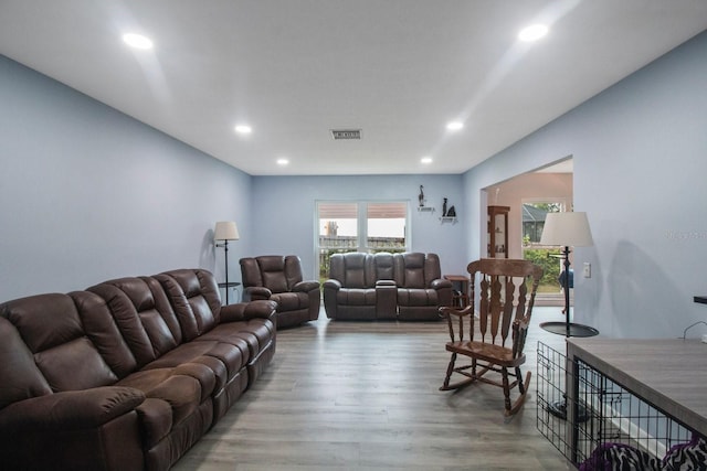 living room with wood-type flooring