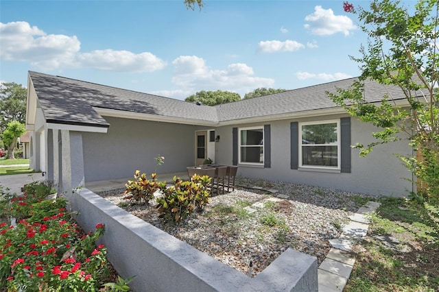1009 Black Knight Dr, Valrico, FL 33594 - single story home featuring stucco siding and a shingled roof