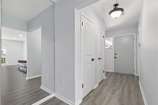 1009 Black Knight Dr, Valrico, FL 33594 - hall featuring wood finished floors