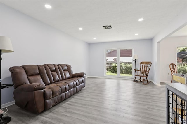 1009 Black Knight Dr, Valrico, FL 33594 - living room with wood finished floors and recessed lighting