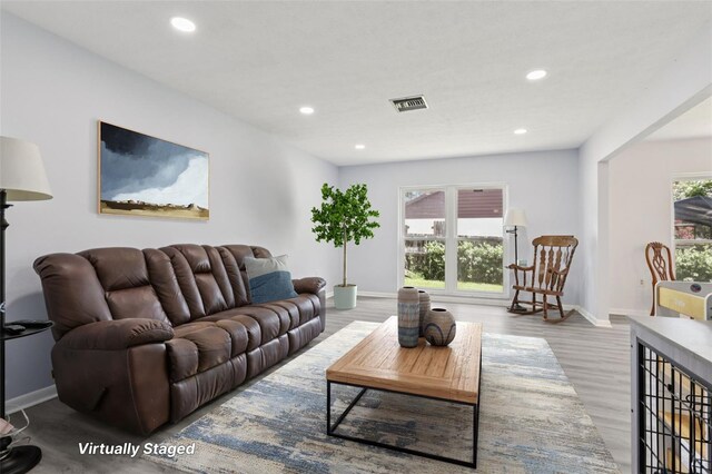 1009 Black Knight Dr, Valrico, FL 33594 - living room featuring recessed lighting and wood finished floors