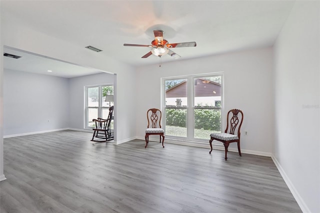 1009 Black Knight Dr, Valrico, FL 33594 - living area featuring ceiling fan and wood finished floors