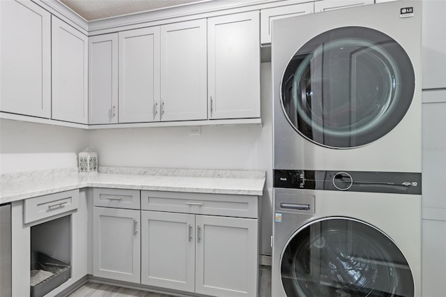 1009 Black Knight Dr, Valrico, FL 33594 - laundry room featuring stacked washer / drying machine and cabinet space