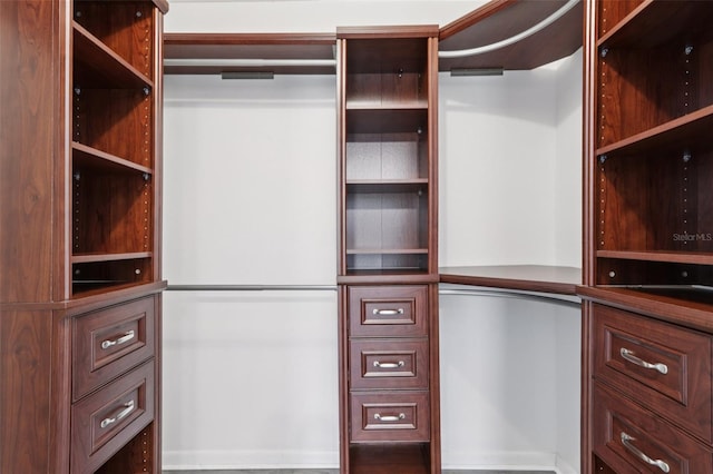 1009 Black Knight Dr, Valrico, FL 33594 - view of spacious closet