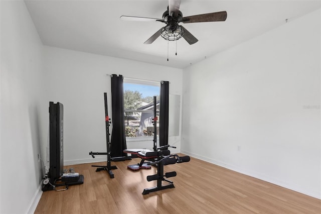 1009 Black Knight Dr, Valrico, FL 33594 - exercise area featuring wood finished floors and a ceiling fan
