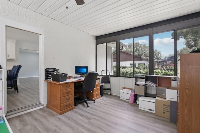 1009 Black Knight Dr, Valrico, FL 33594 - home office with light wood-style floors, wooden ceiling, and a textured wall