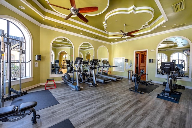 workout area featuring a raised ceiling, ceiling fan, and crown molding