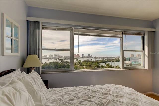 bedroom featuring multiple windows