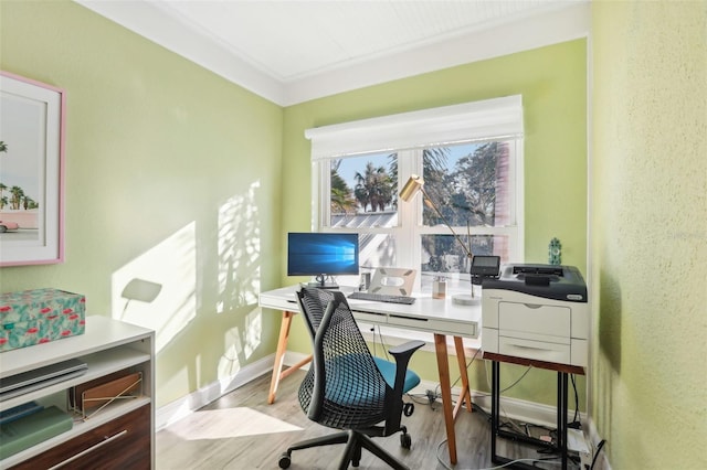 office space with crown molding and light hardwood / wood-style floors