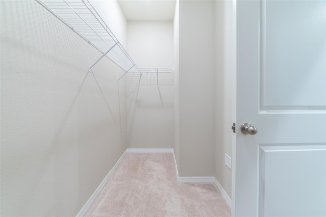 spacious closet with light colored carpet