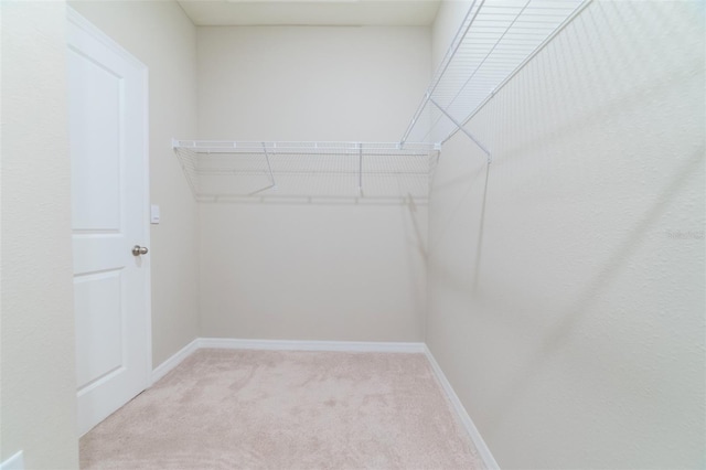 spacious closet featuring light carpet