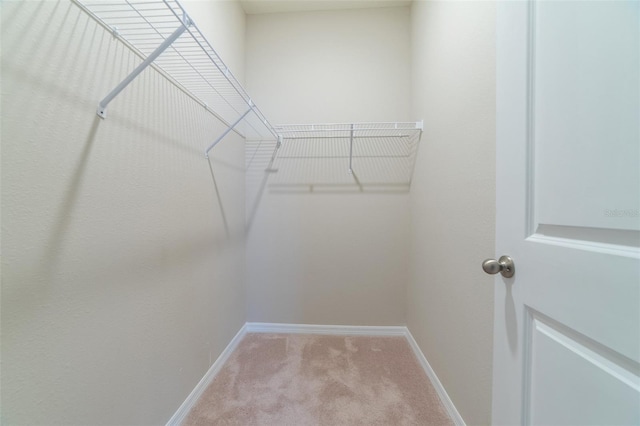 spacious closet featuring light colored carpet