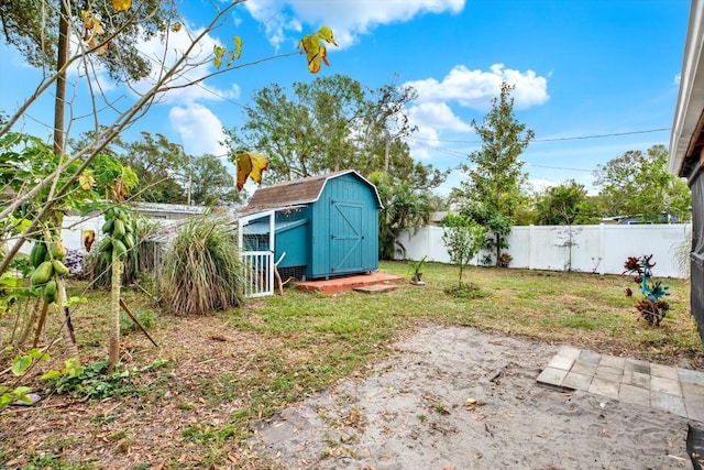 view of yard with a storage shed