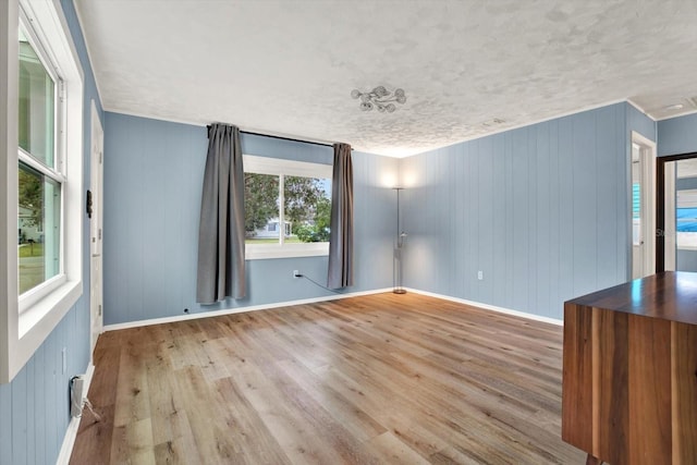 spare room featuring a textured ceiling, light hardwood / wood-style floors, and plenty of natural light