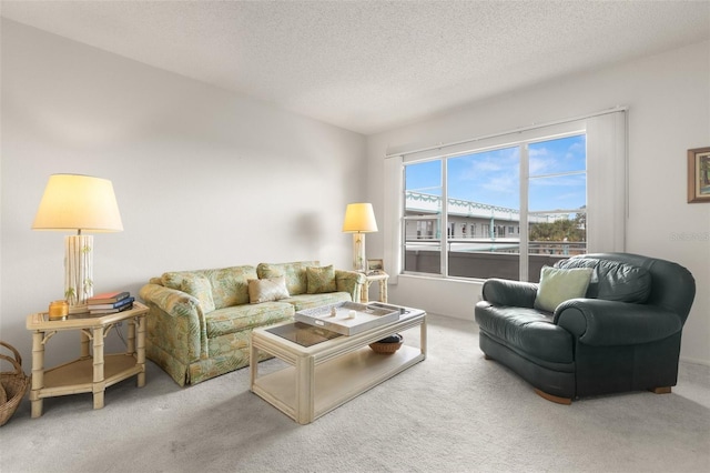 carpeted living room with a textured ceiling