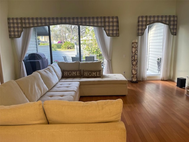 living room featuring hardwood / wood-style flooring and plenty of natural light