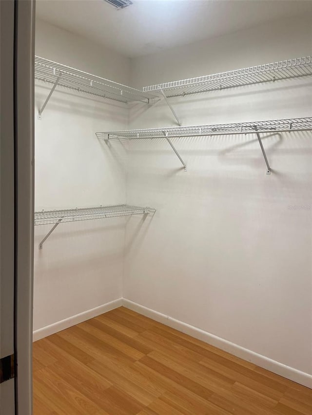 walk in closet featuring hardwood / wood-style floors