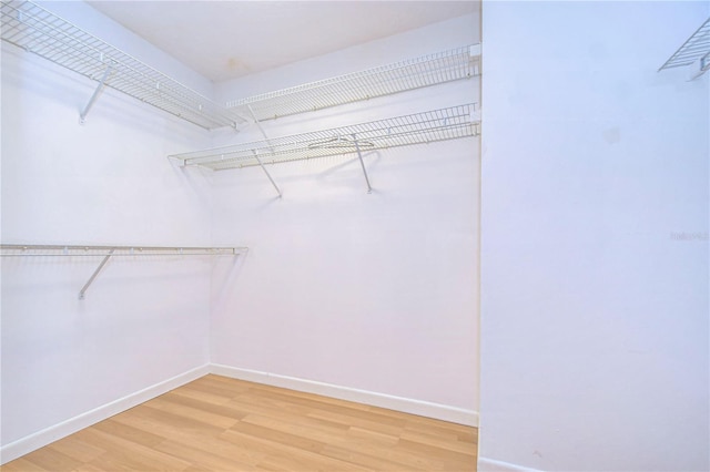 walk in closet featuring wood-type flooring