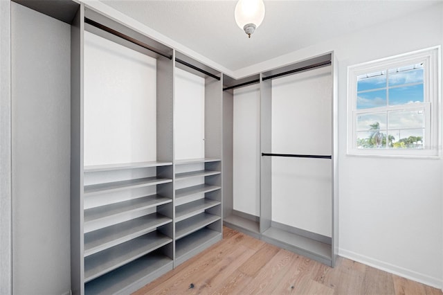 walk in closet featuring light hardwood / wood-style flooring