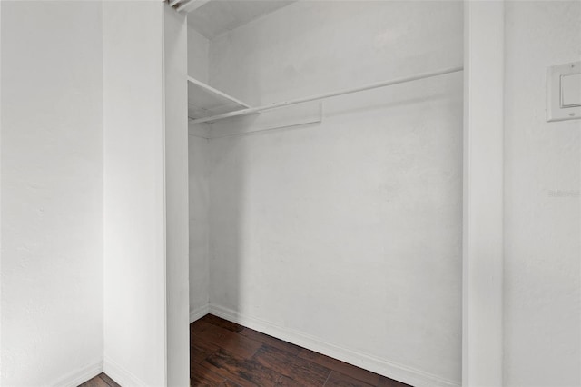 spacious closet featuring dark hardwood / wood-style flooring