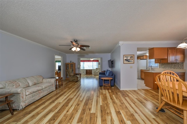 living room with light wood-type flooring, a textured ceiling, ceiling fan, crown molding, and sink