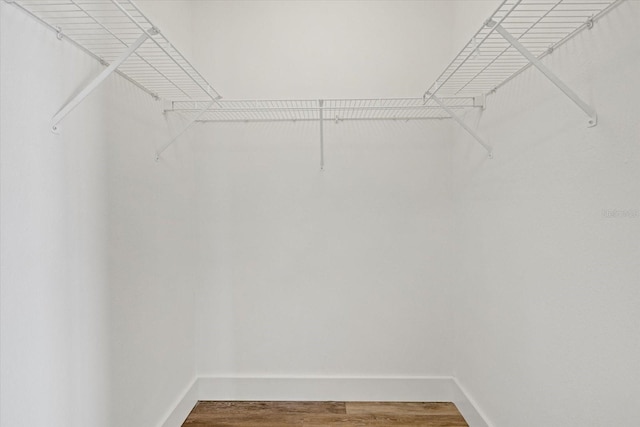 walk in closet with wood-type flooring