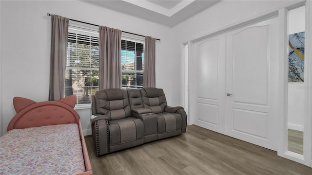 living room featuring hardwood / wood-style floors