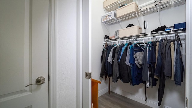 walk in closet with hardwood / wood-style floors